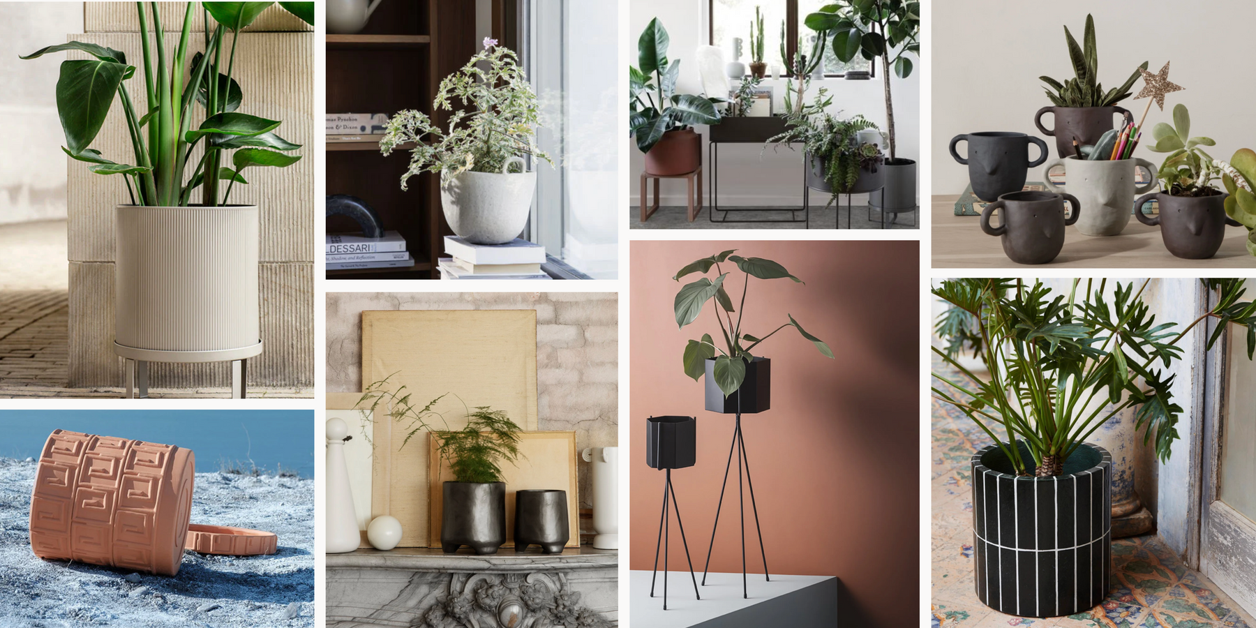 Pots pour plantes