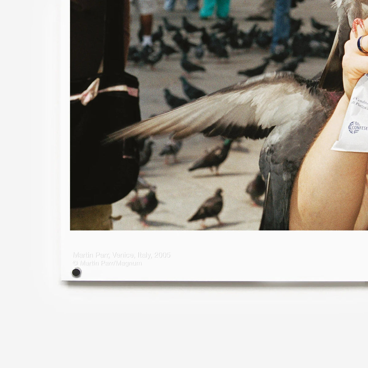 Affiche VENISE "Small World" par Martin Parr - The Wrong Shop-Non encadré-The Woods Gallery