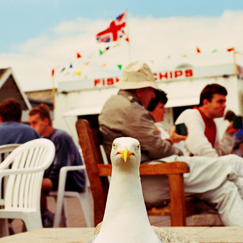 Affiche "West Bay" de Martin Parr - The Wrong Shop-Non encadré-The Woods Gallery