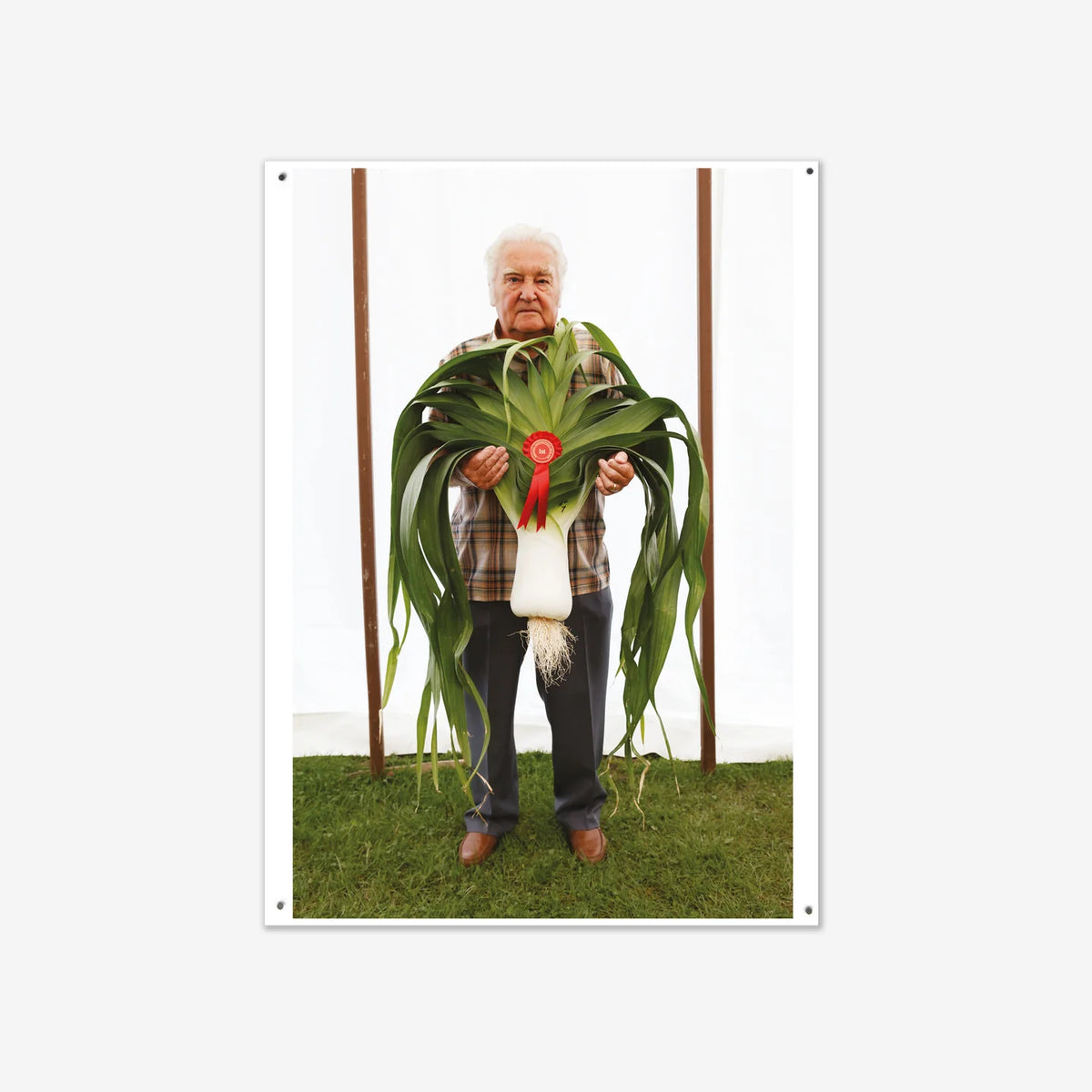 Affiche de "West Bromwich" par Martin Parr - The Wrong Shop-Non encadré + kit-The Woods Gallery