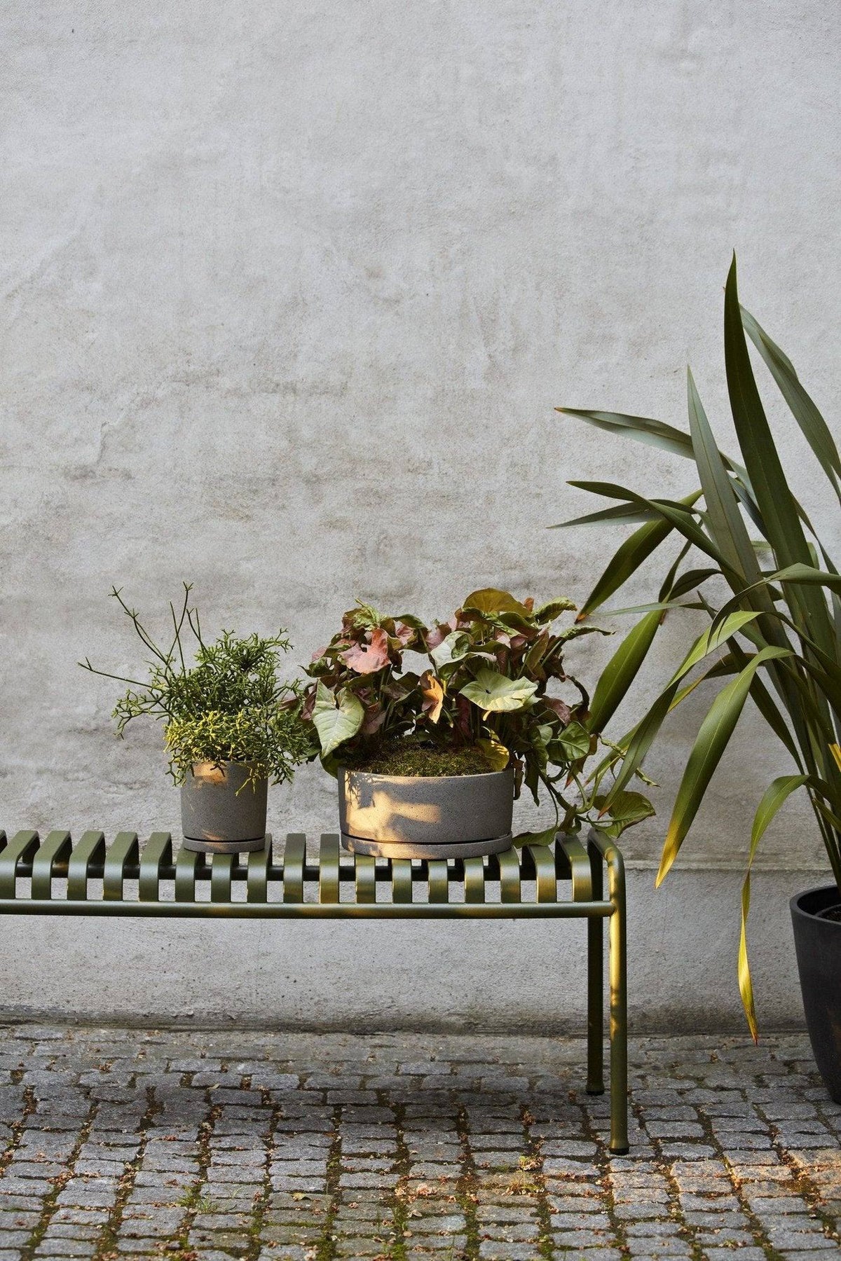Banc Palissade - Hay-en situation-The Woods Gallery