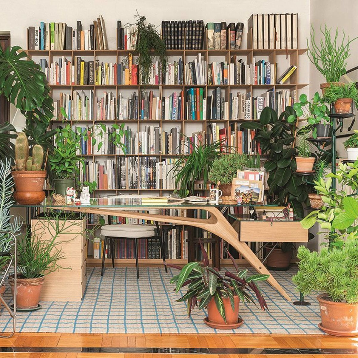 Bureau Cavour L 247 cm Hommage à Carlo Mollino - Zanotta-en situation devant une bibliothèque garnie de plantes-The Woods Gallery