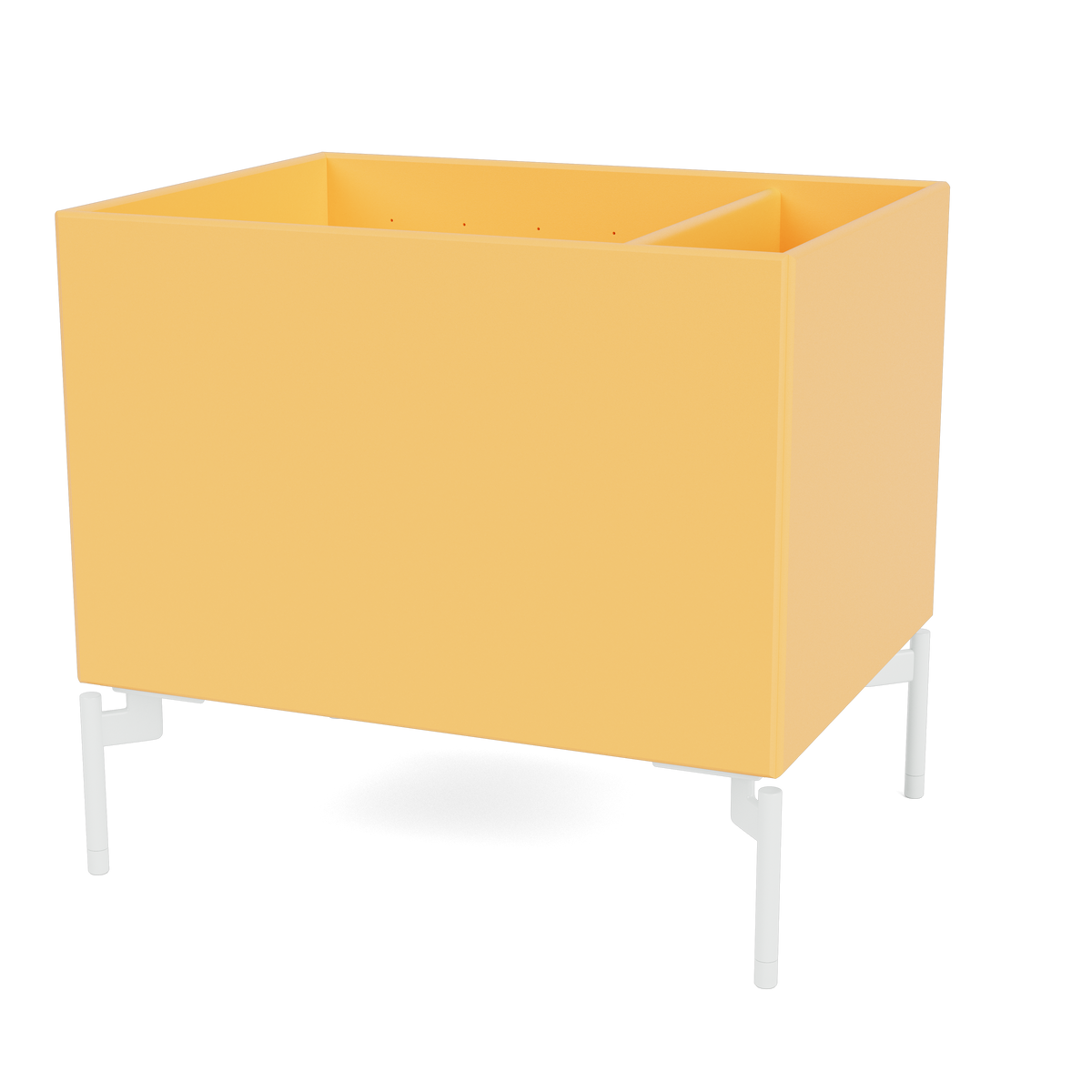 Colour Box II Montana 166 Acacia sur pieds 12,6 cm snow