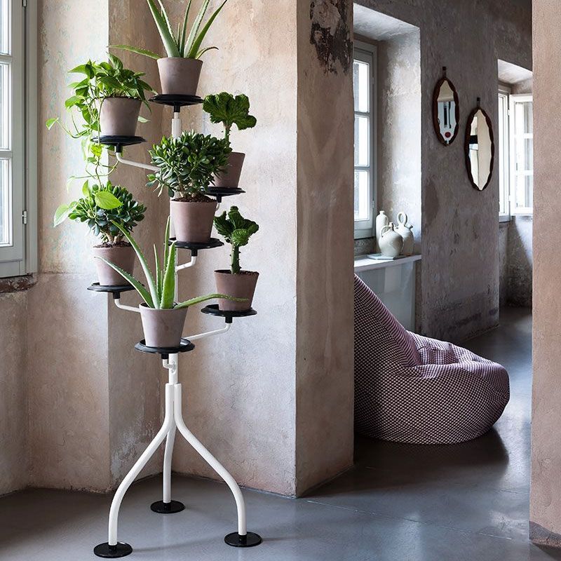 Rangement Albero jardinière par Achille Castiglioni - Zanotta-en situation, garni de plantes dans une pièce ancienne-The Woods Gallery