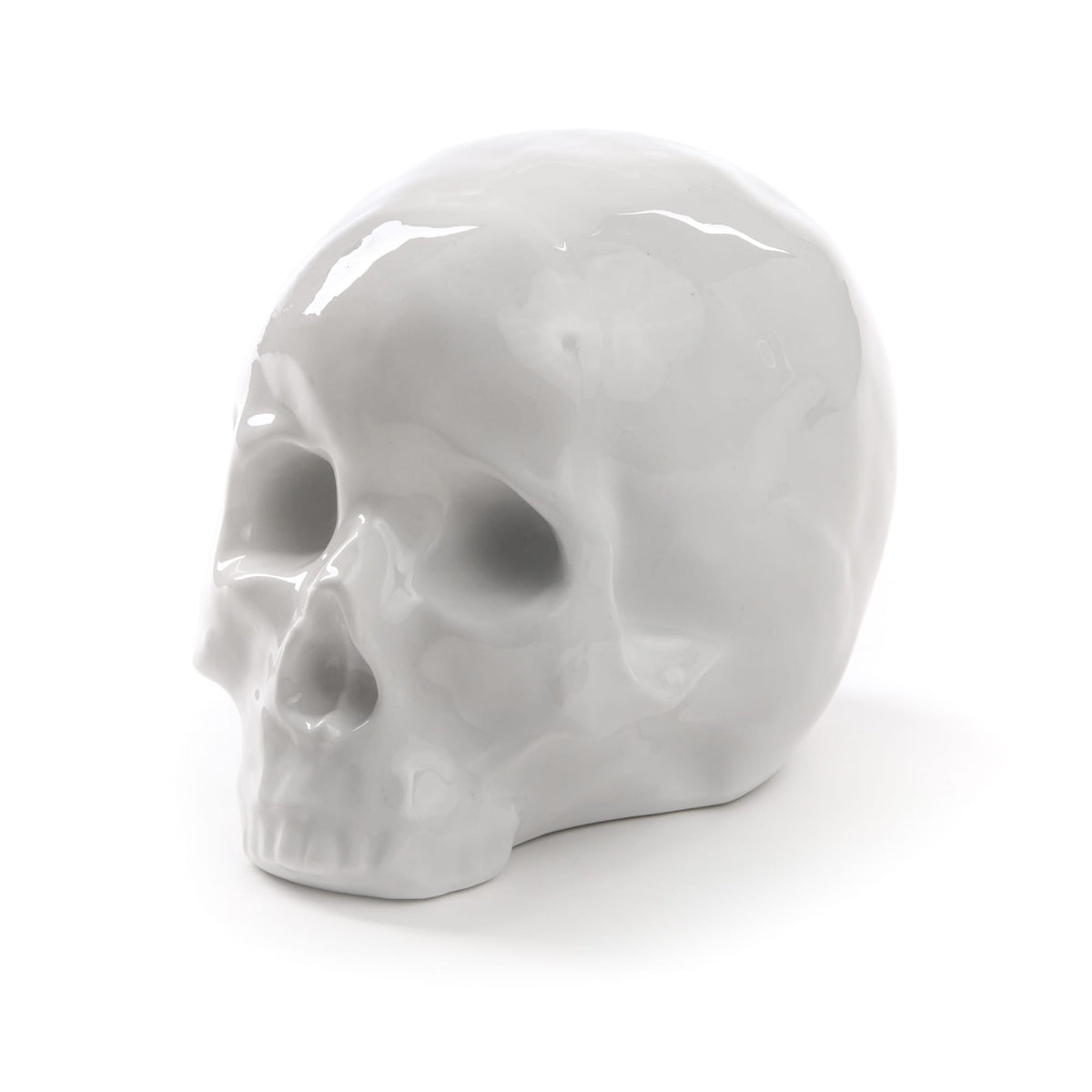 Crâne Memorabilia My Skull de Selab + Alessandro Zambelli - Seletti-vue 5-The Woods Gallery