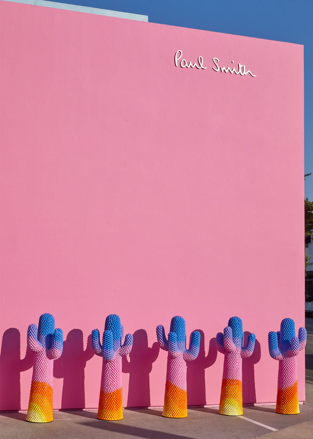 Sunrise Cactus - Gufram x Paul Smith-The Woods Gallery
