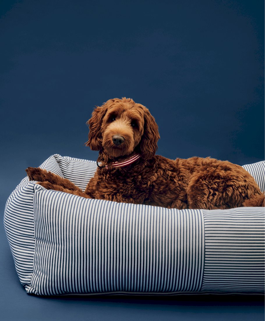 Panier HAY Dogs de Barbara Maj Husted Werner - Hay