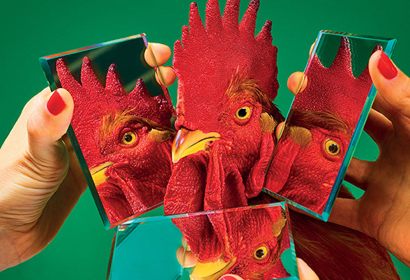 Magazine N°19 de ToiletPaper-The Woods Gallery
