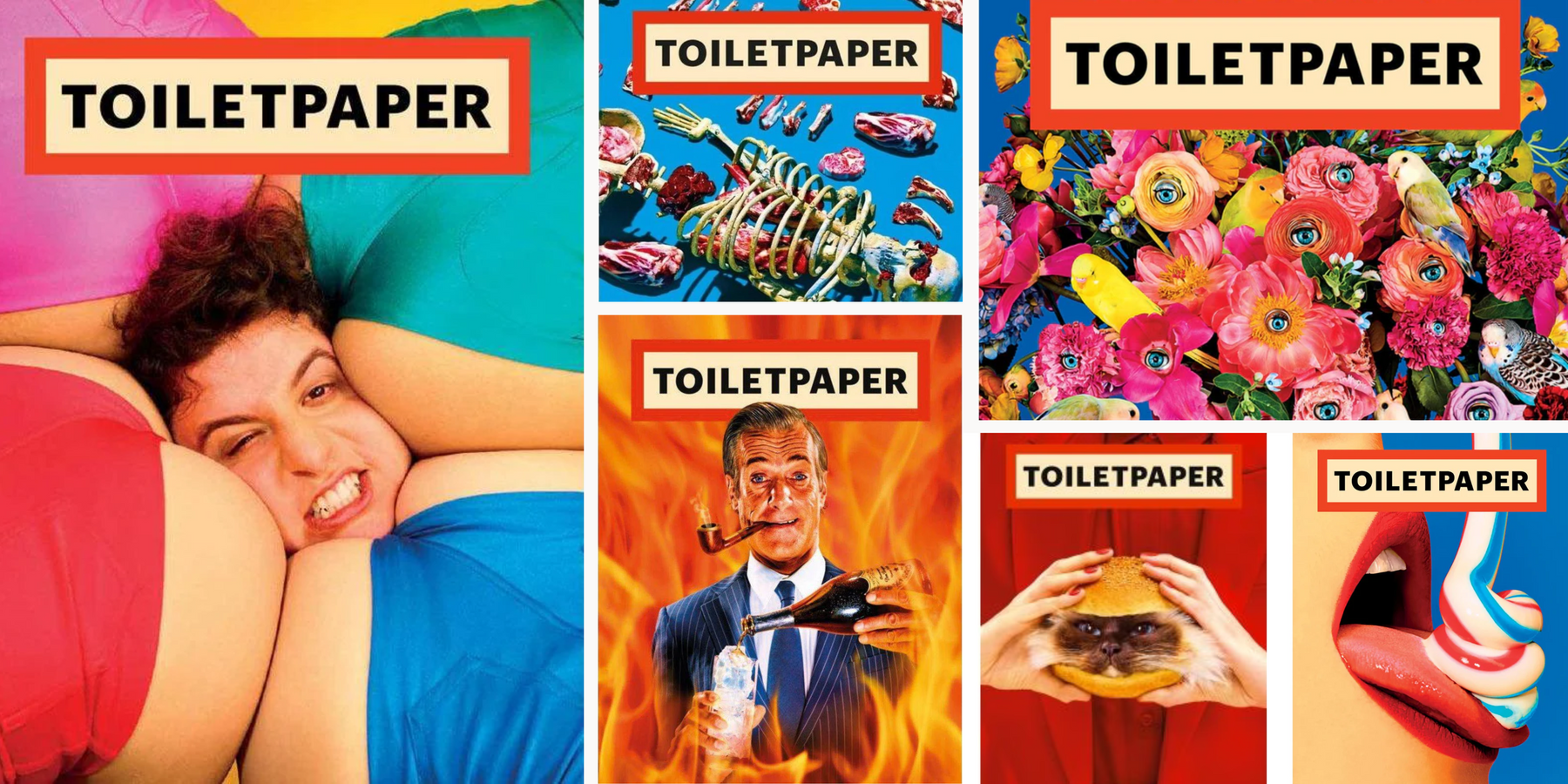 Magazines Toiletpaper