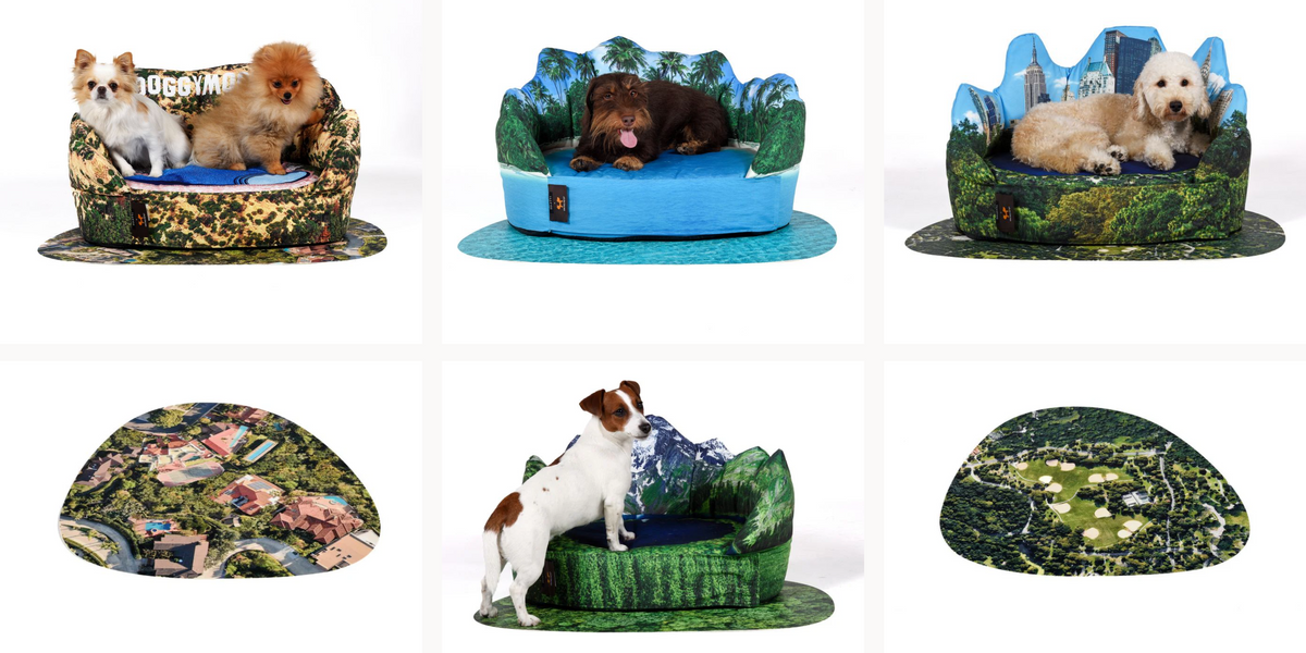 Animaux