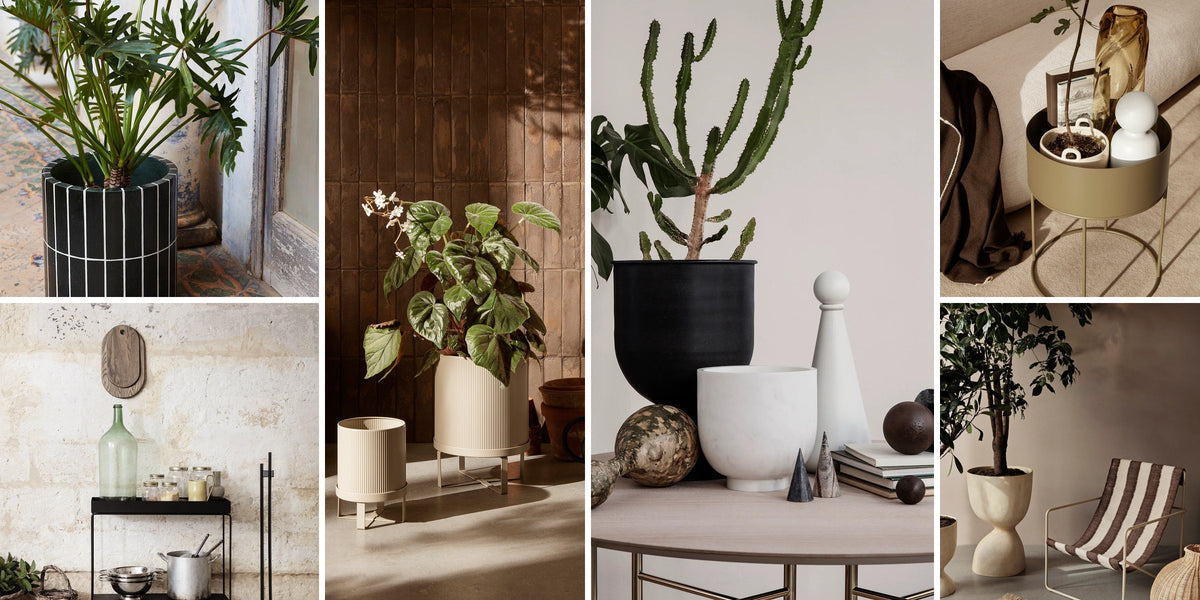 Pots & jardinières - The Woods Gallery