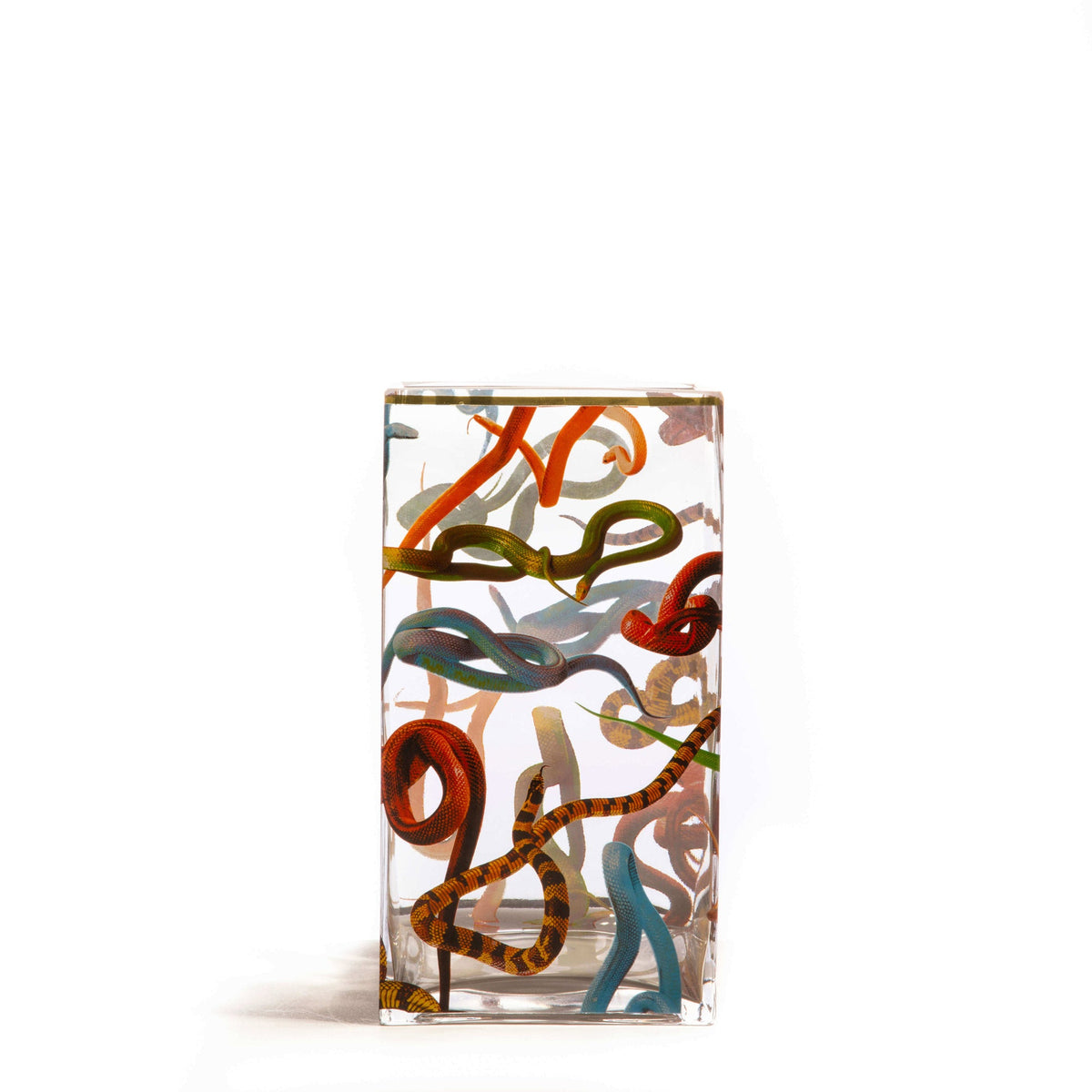 Vase Snakes 15 x 15 x h. 30 cm de ToiletPaper - Seletti-vue 4-The Woods Gallery