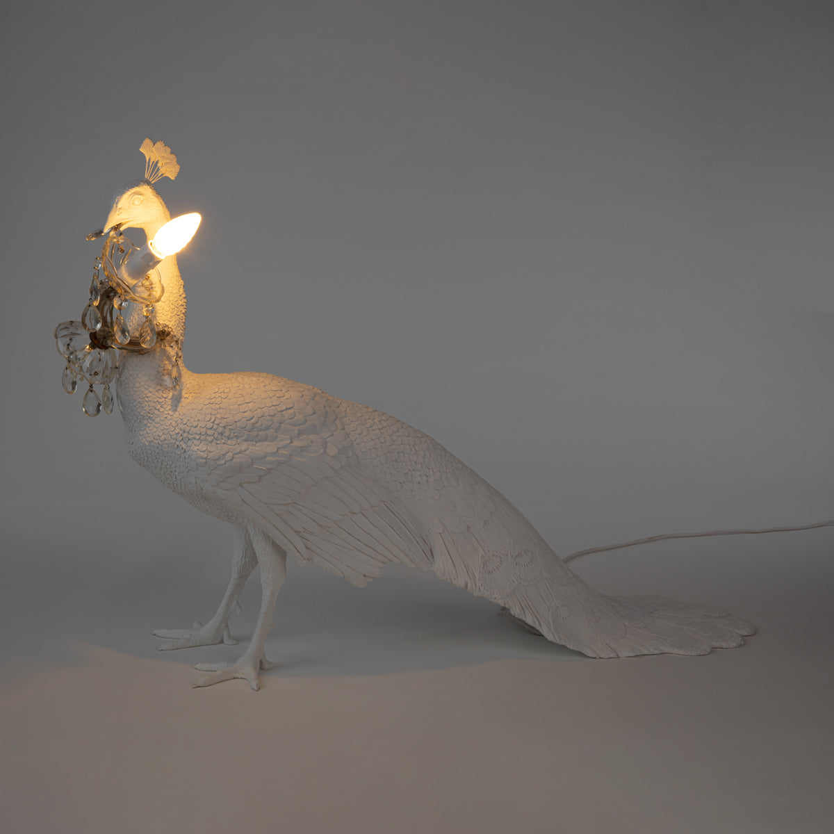 Lampe paon Peacock de Marcantonio - Seletti-vue 2-The Woods Gallery