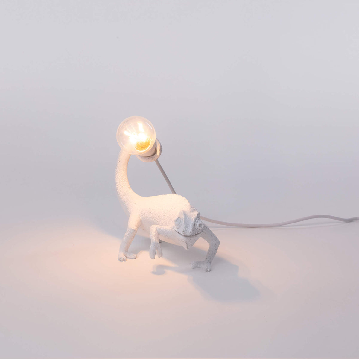 Lampe Chameleon Still de Marcantonio - Seletti-vue 6-The Woods Gallery