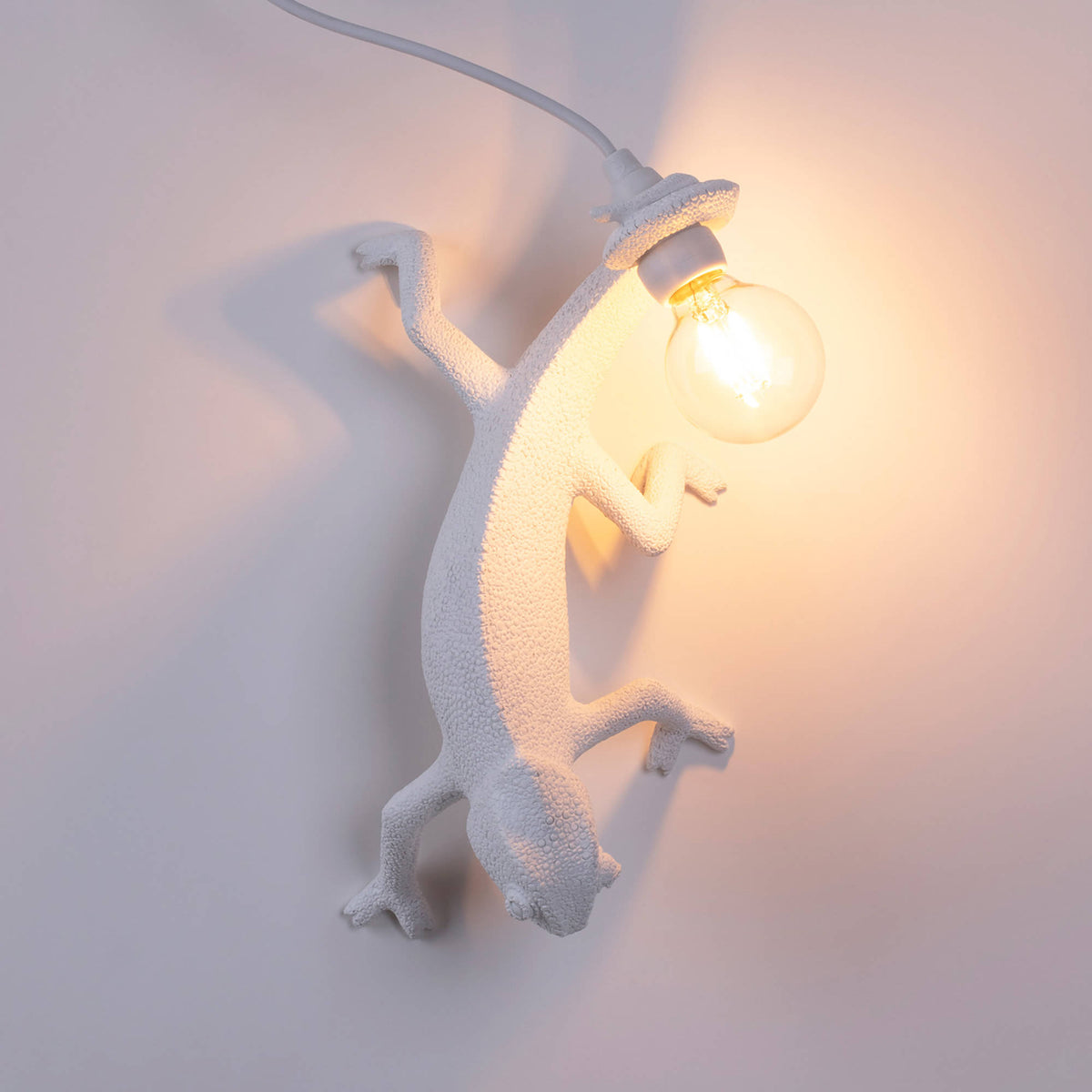 Applique Chameleon Going Down de Marcantonio - Seletti-vue 4-The Woods Gallery