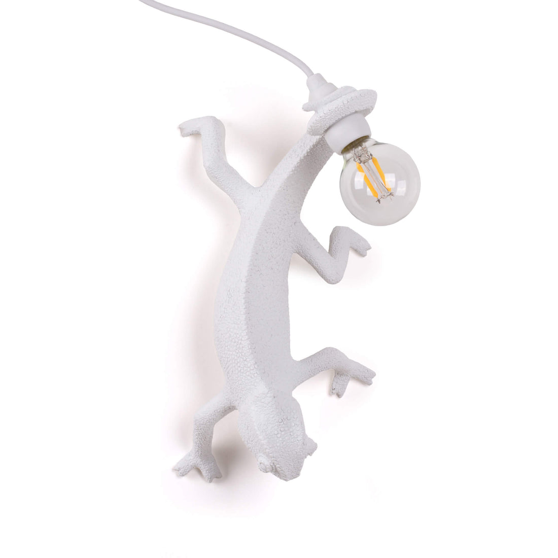 Applique Chameleon Going Down de Marcantonio - Seletti-vue 1-The Woods Gallery