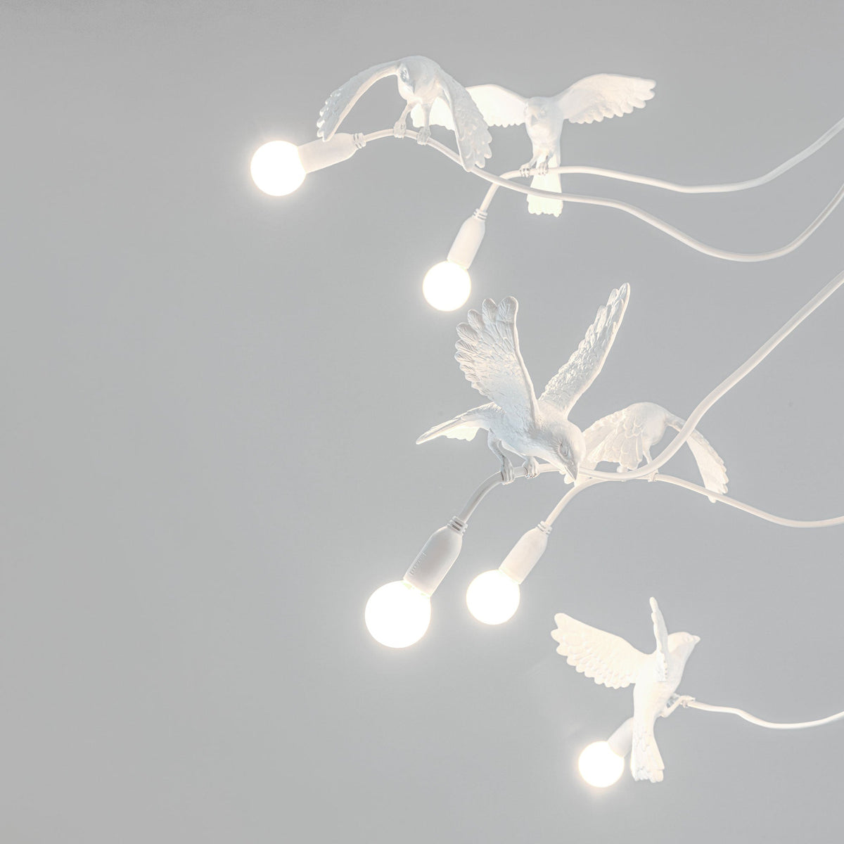 Lustre Sparrow Chandelier de Marcantonio - Seletti-vue 3-The Woods Gallery