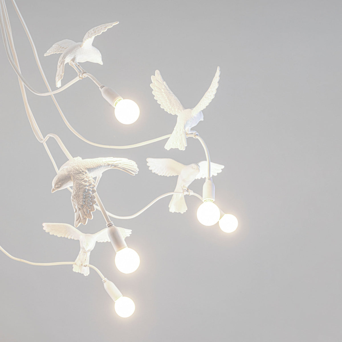 Lustre Sparrow Chandelier de Marcantonio - Seletti-vue 4-The Woods Gallery
