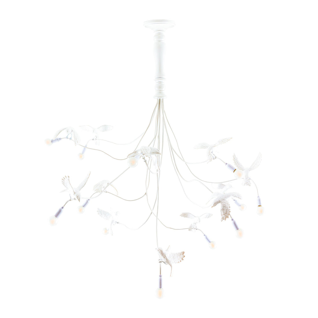 Lustre Sparrow Chandelier de Marcantonio - Seletti-vue 1-The Woods Gallery