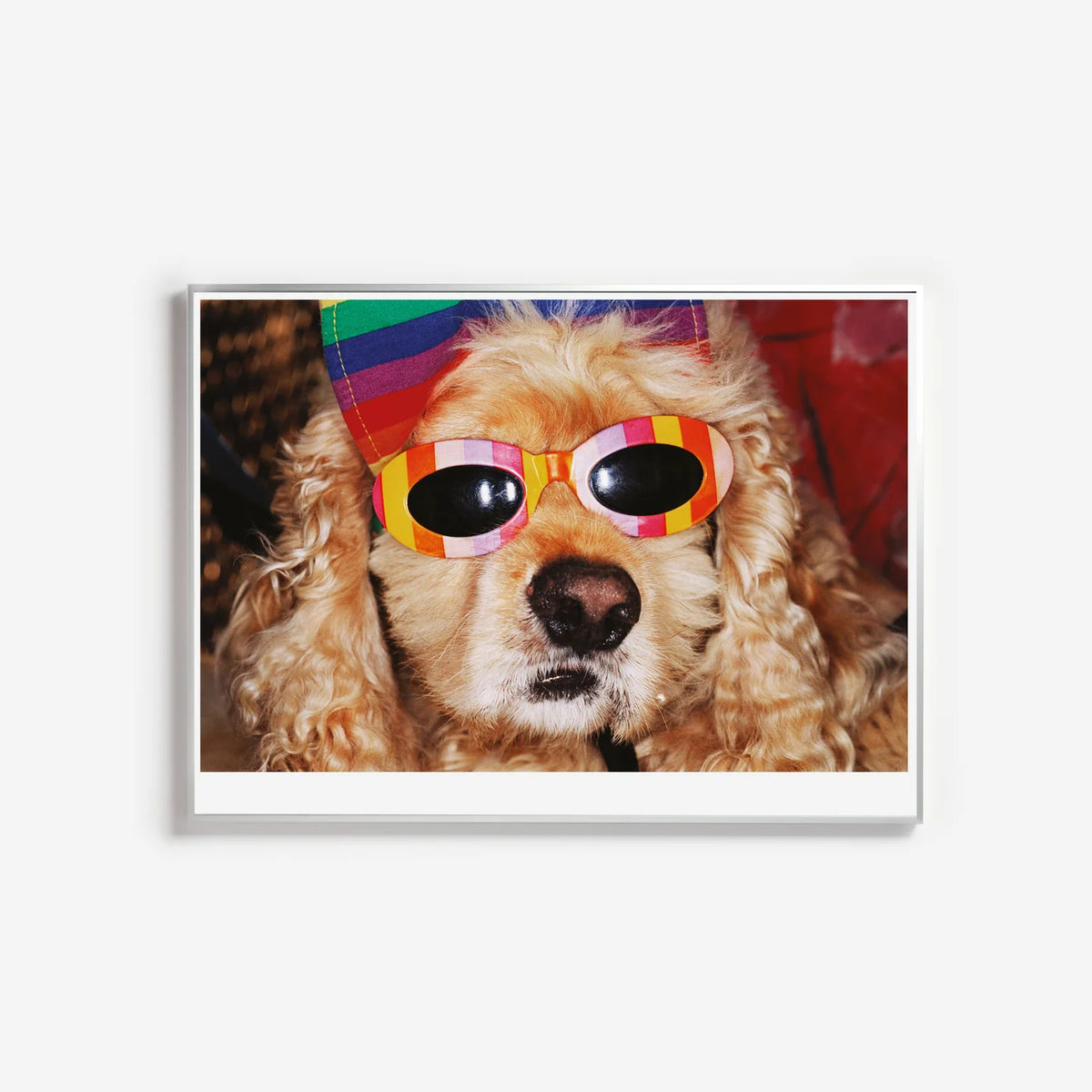 Affiche "VENICE BEACH" par Martin Parr - The Wrong Shop-Cadre en aluminium en argenté-The Woods Gallery