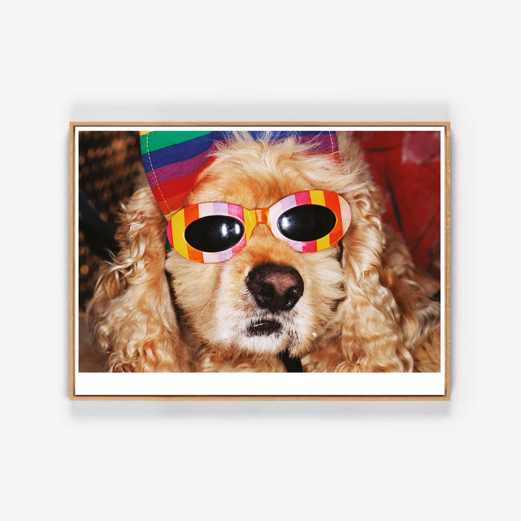 Affiche "VENICE BEACH" par Martin Parr - The Wrong Shop-Non encadré-The Woods Gallery