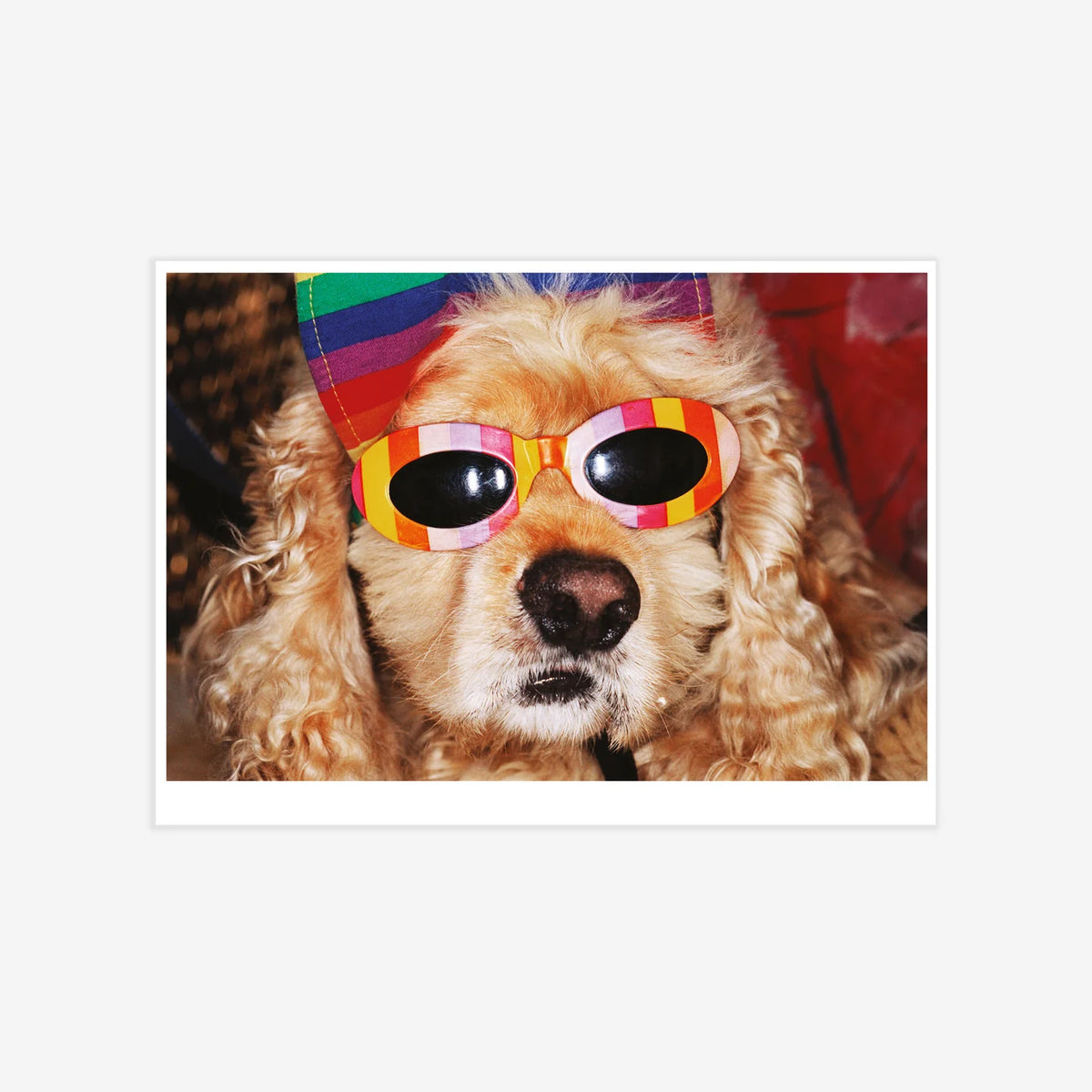 Affiche "VENICE BEACH" par Martin Parr - The Wrong Shop-Non encadré-The Woods Gallery