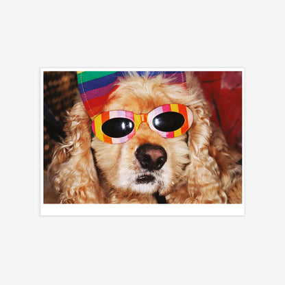 Affiche "VENICE BEACH" par Martin Parr - The Wrong Shop-Non encadré-The Woods Gallery