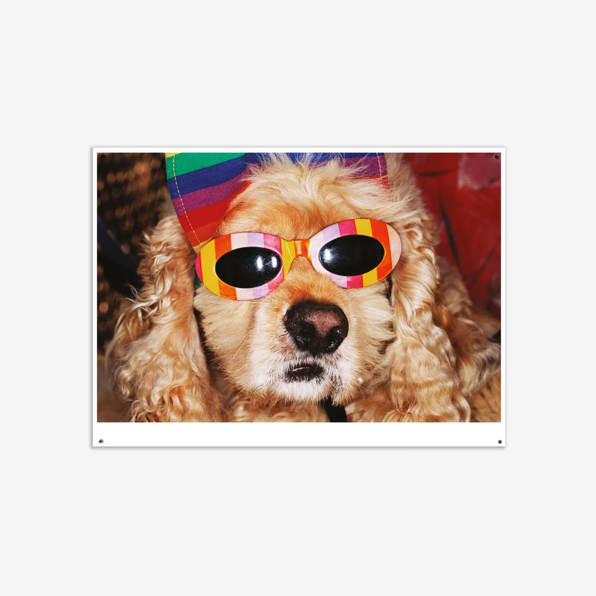 Affiche "VENICE BEACH" par Martin Parr - The Wrong Shop-Non encadré + kit-The Woods Gallery