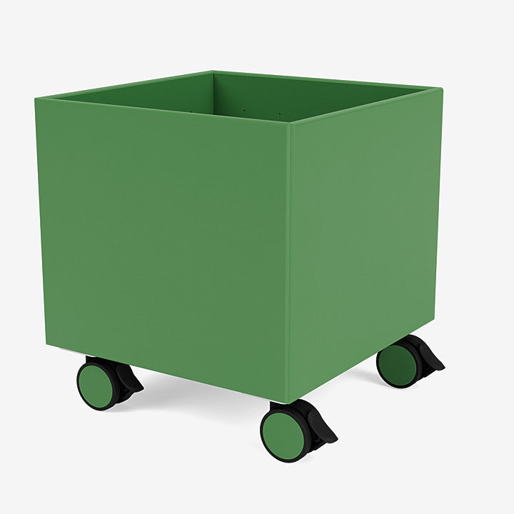 Boite de Rangement Colour Box I – S6161 par Peter J. Lassen - Montana-152 Parsley-Roulettes h 6.8cm-The Woods Gallery