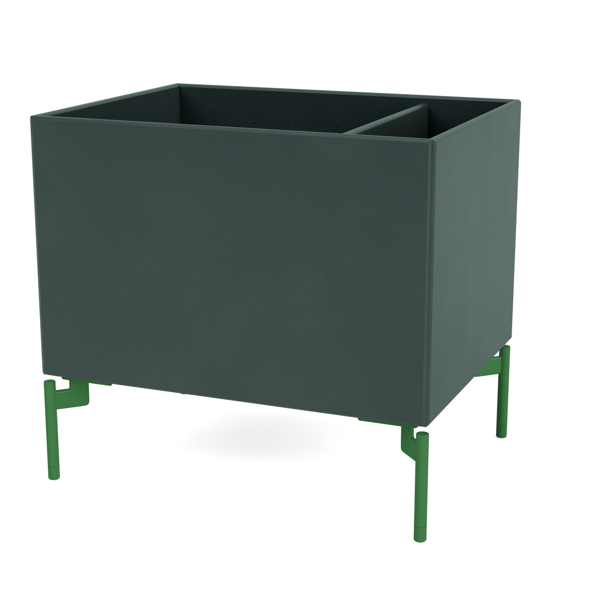 Boîte de rangement Colour Box II S4162 par Peter J. Lassen, laque 163 Black Jade, sur pieds 12,6 cm Parsley, packshot Montana
