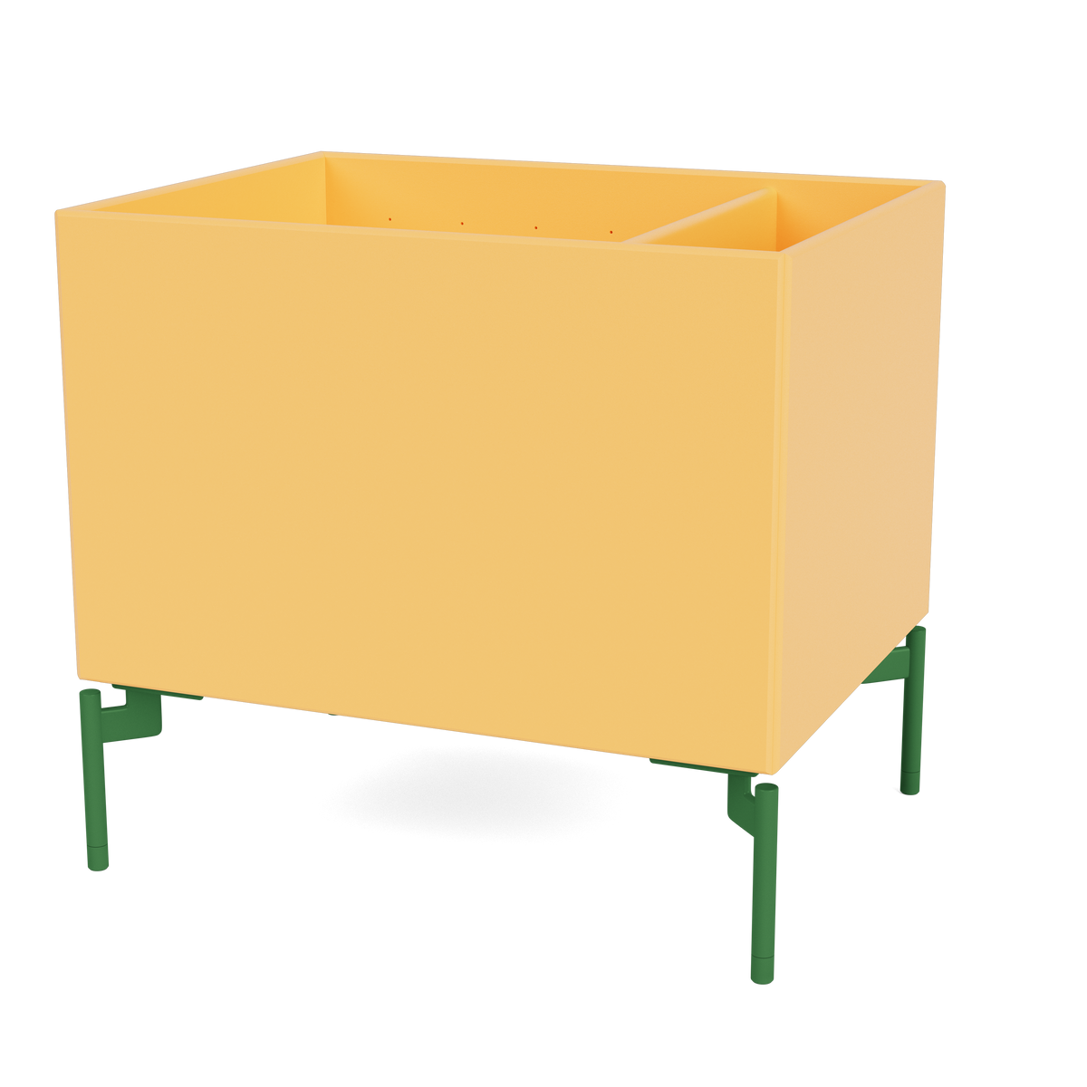 Boîte de rangement Colour Box II S4162 par Peter J. Lassen, laque 166 Acacia, sur pieds 12,6 cm Parsley, packshot Montana
