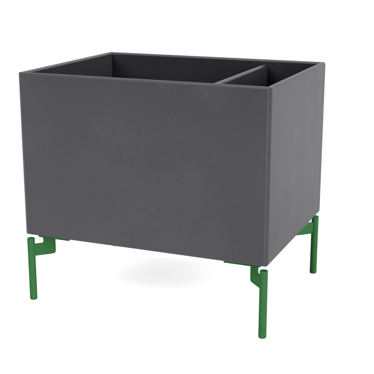 Boîte de rangement Colour Box II S4162 par Peter J. Lassen, laque 36 Coal, sur pieds 12,6 cm Parsley, packshot Montana