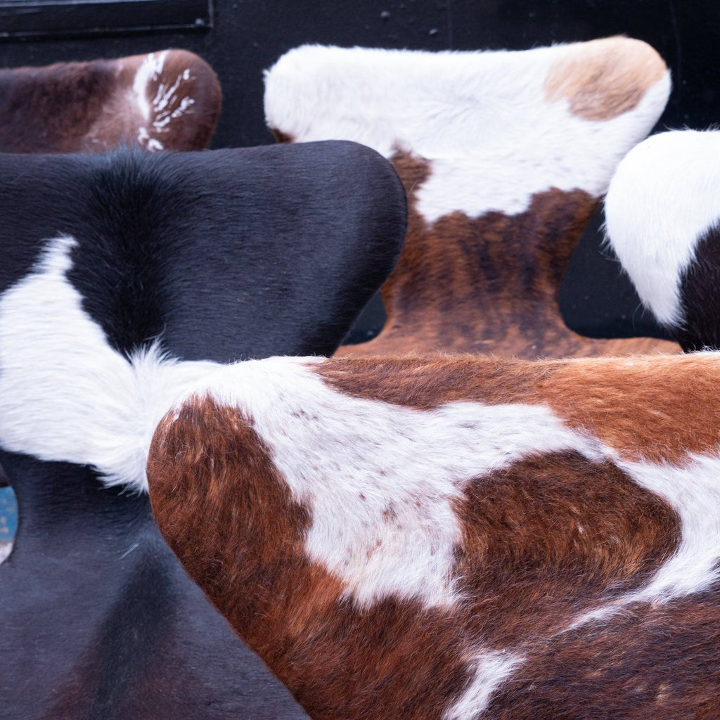 Chaise Vache retapissées Série 7 de Arne Jacobsen - Fritz Hansen - Vintage-Lot de 4 Chaises-The Woods Gallery
