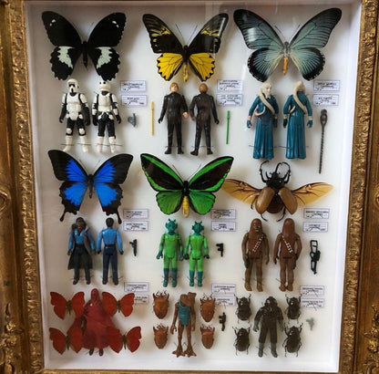 Coffret Baroque ANTHO(mo)LOGY Star Wars Deluxe de Pocket Factory-The Woods Gallery
