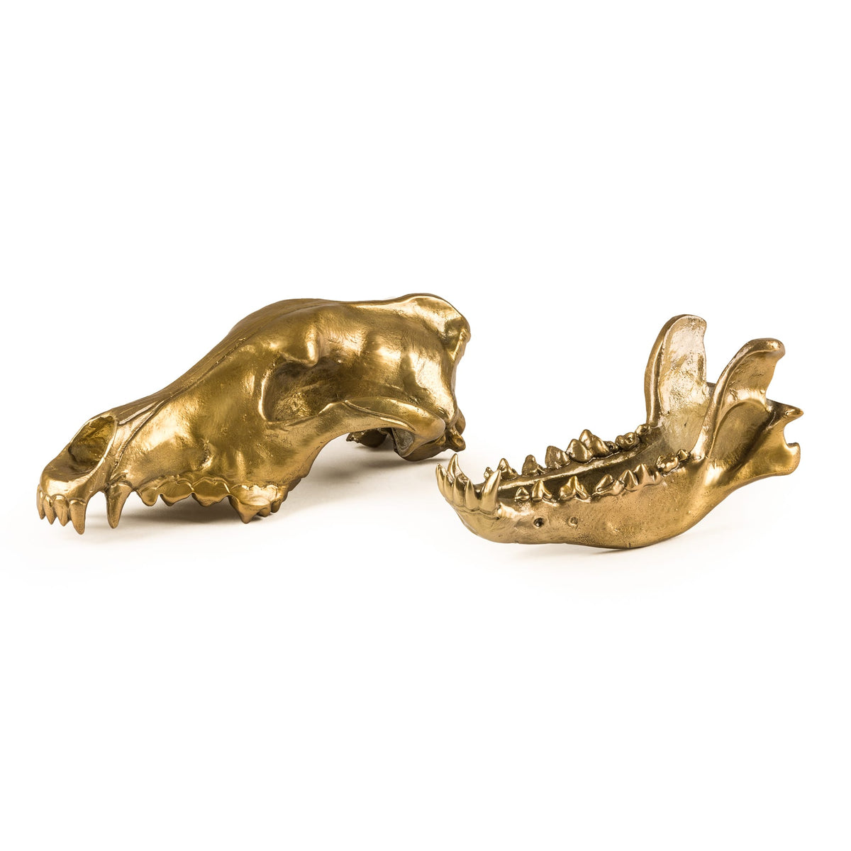 Sculpture Wunderkammer Wolf Skull de Diesel Living - Seletti-vue 9-The Woods Gallery