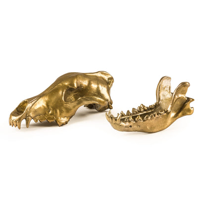 Sculpture Wunderkammer Wolf Skull de Diesel Living - Seletti-vue 9-The Woods Gallery