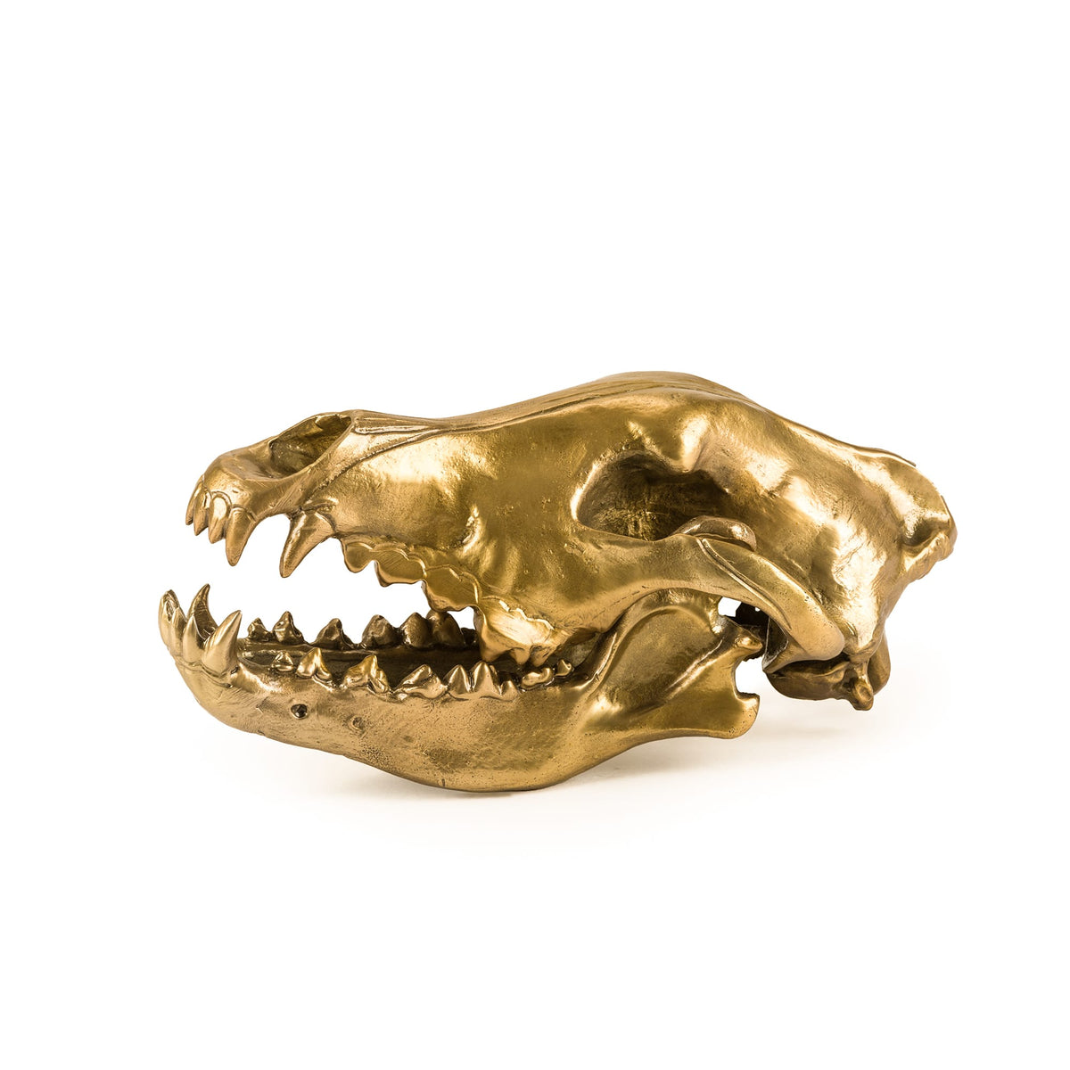 Sculpture Wunderkammer Wolf Skull de Diesel Living - Seletti-vue 8-The Woods Gallery