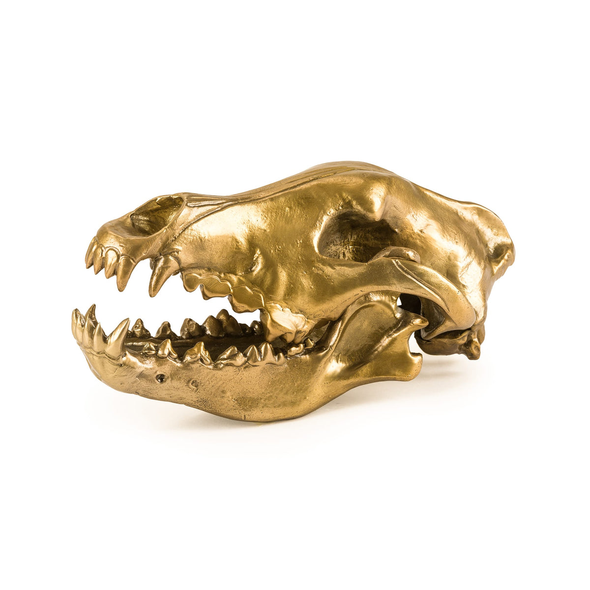 Sculpture Wunderkammer Wolf Skull de Diesel Living - Seletti-vue 5-The Woods Gallery