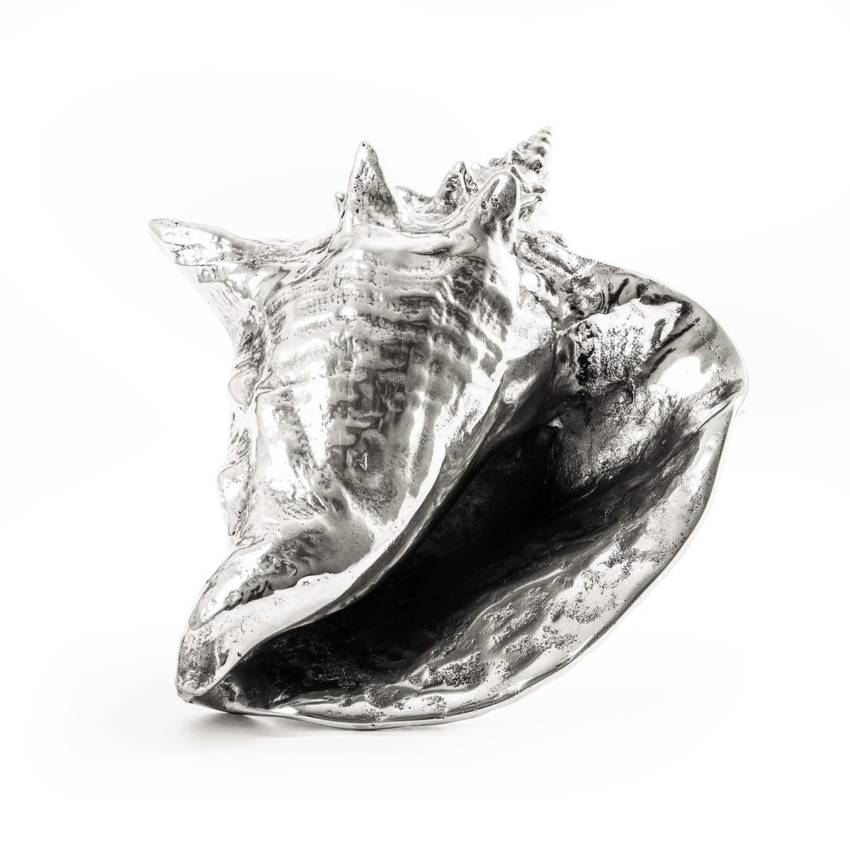 Sculpture Wunderkammer Shell de Diesel Living - Seletti-vue 8-The Woods Gallery