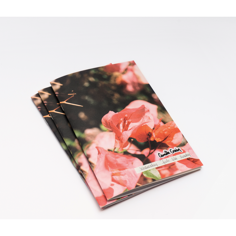 Fanzine « Wednesday feels like Sunday » de Camille Gorin-The Woods Gallery