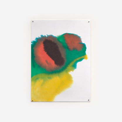 Frog de Rop van Mierlo - The Wrong Shop-Sans encadrement-The Woods Gallery