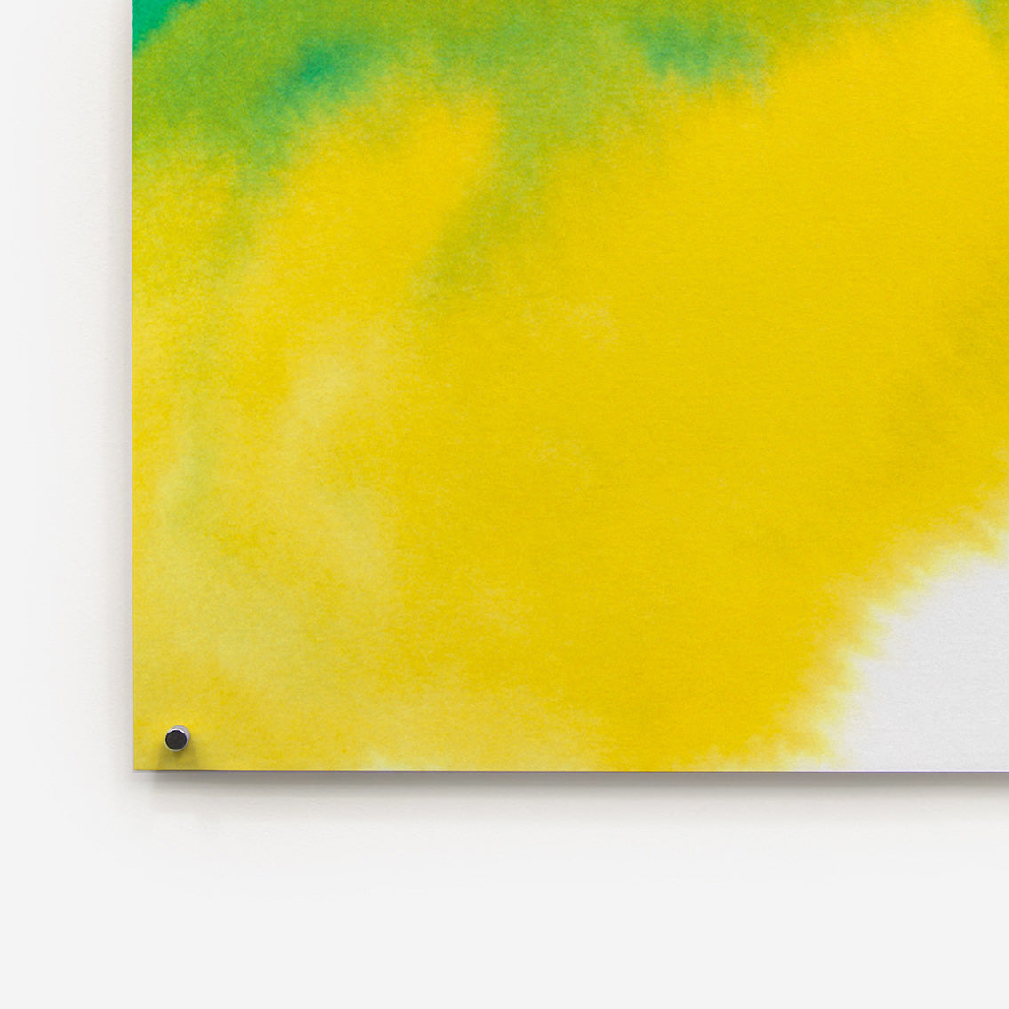 Frog de Rop van Mierlo - The Wrong Shop-Sans encadrement-The Woods Gallery