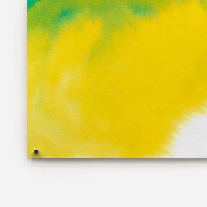 Frog de Rop van Mierlo - The Wrong Shop-Sans encadrement-The Woods Gallery