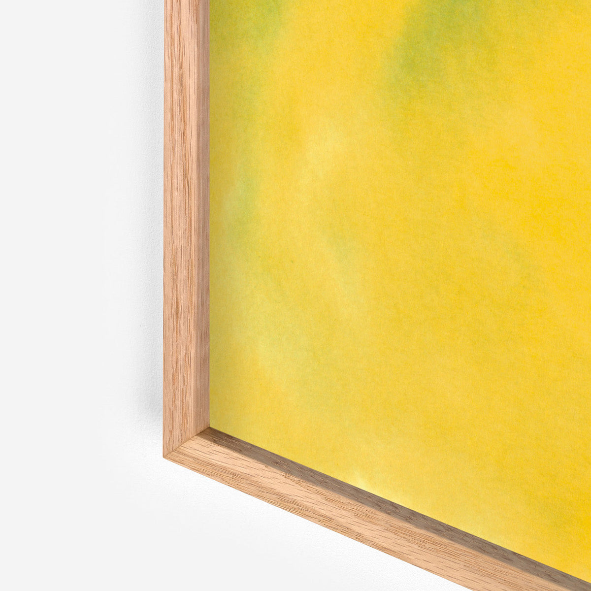 Frog de Rop van Mierlo - The Wrong Shop-Sans encadrement-The Woods Gallery