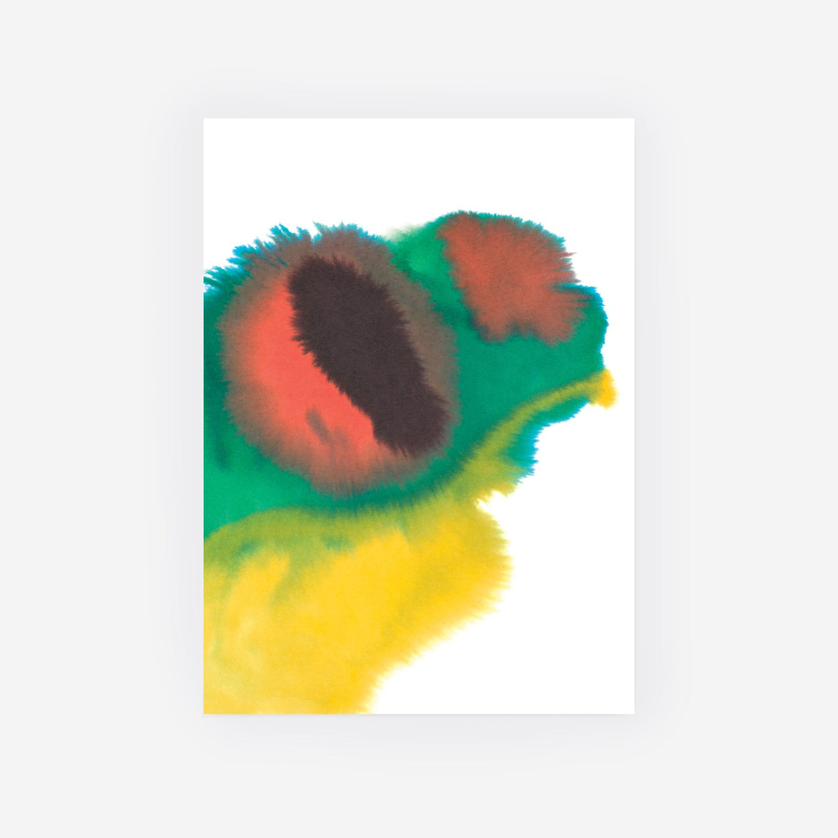 Frog de Rop van Mierlo - The Wrong Shop-Sans encadrement-The Woods Gallery