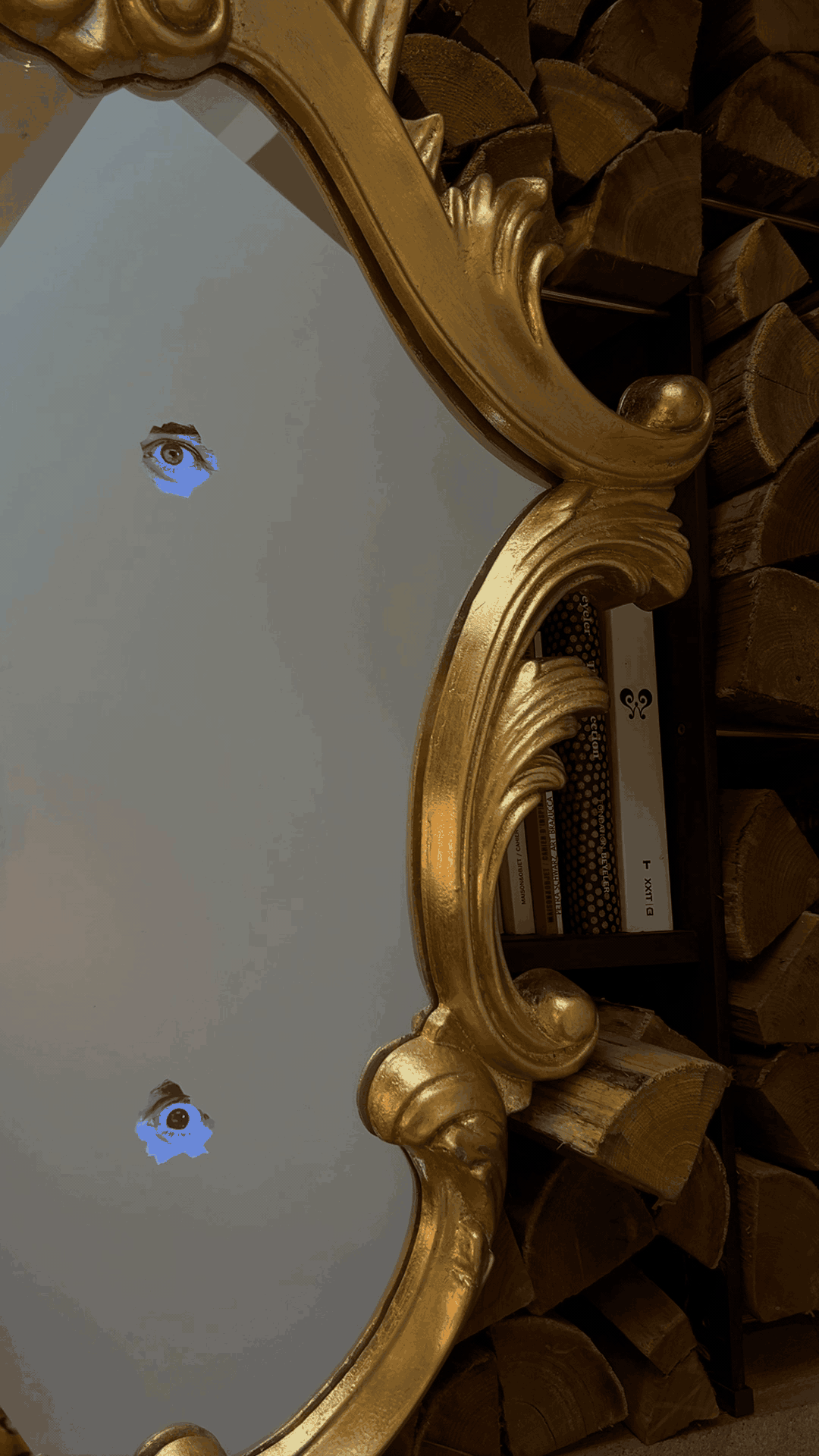 Miroir Reflecting Eyes Trilogy de Giampiero Romano - Seletti-vue 2-The Woods Gallery