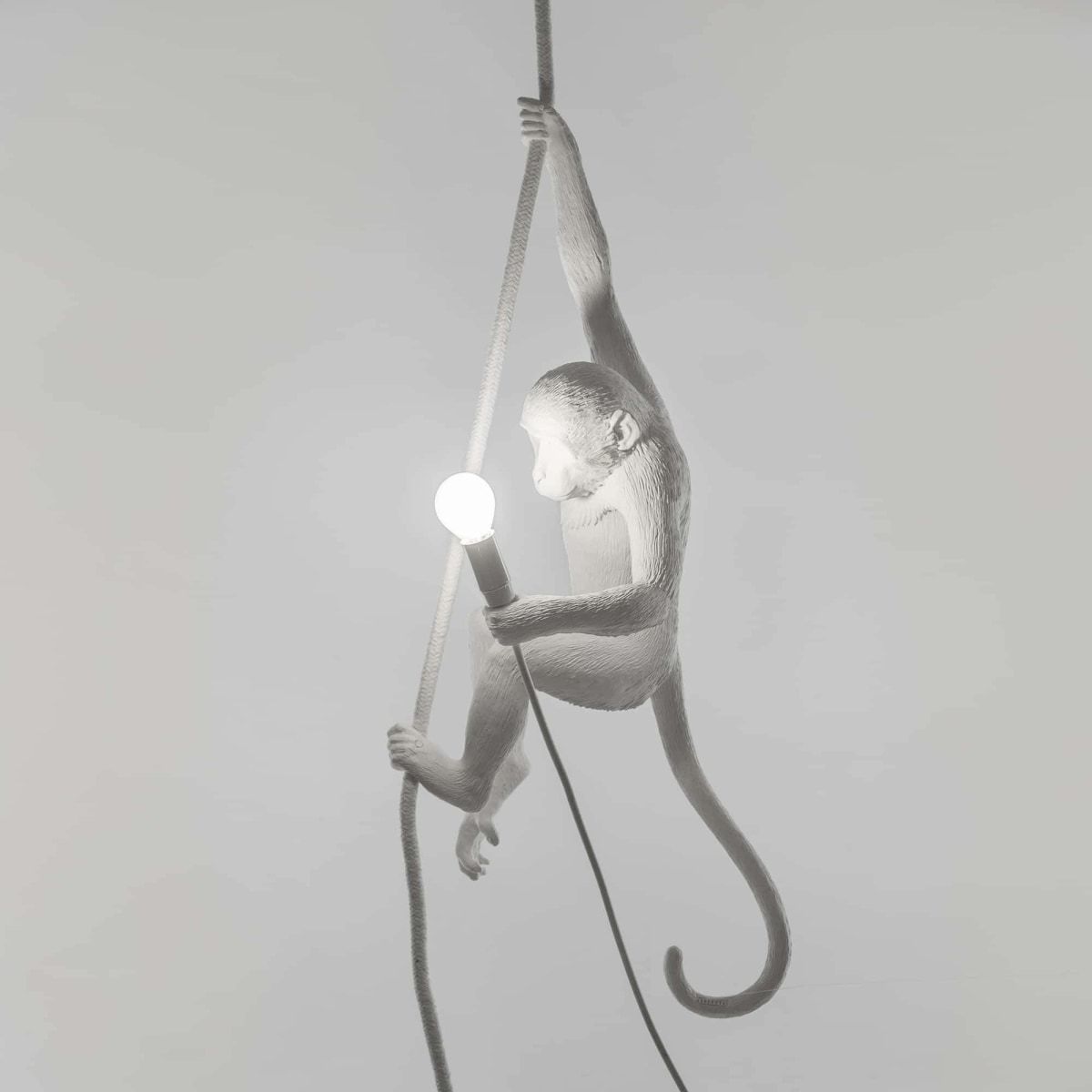 Lampe Singe (pour plafond) Hanging OUTDOOR de Marcantonio - Seletti-Noir-The Woods Gallery