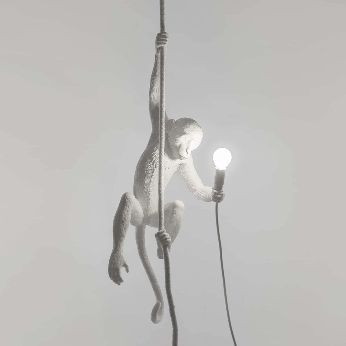 Lampe Singe (pour plafond) Hanging OUTDOOR de Marcantonio - Seletti-Noir-The Woods Gallery