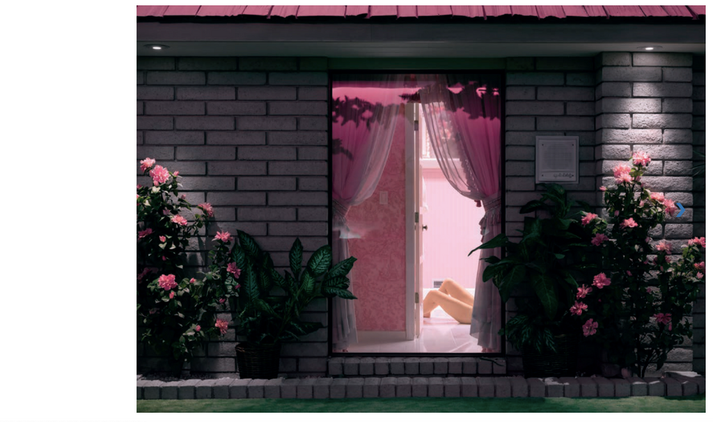 Livre Chromotherapia - Feel-Good Color Photography de Maurizio Cattelan et Sam Stourdzé-The Woods Gallery