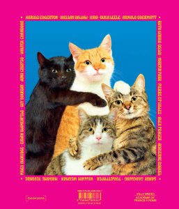 Livre Chromotherapia - Feel-Good Color Photography de Maurizio Cattelan et Sam Stourdzé-The Woods Gallery